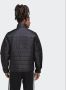 Adidas Originals Puffer-jacke Pufferjassen Kleding black maat: XS beschikbare maaten:S M L XL XS - Thumbnail 6