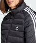 Adidas Originals Puffer-jacke Pufferjassen Kleding black maat: XS beschikbare maaten:S M L XL XS - Thumbnail 10