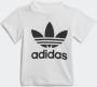 Adidas Originals Functionele bodywarmer TREFOIL SHORTS AND SHIRT (set) - Thumbnail 5