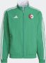 Adidas Performance Algerije Anthem Jack - Thumbnail 5