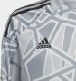 Adidas Perfor ce Condivo 22 Keepersshirt met Lange Mouwen - Thumbnail 4