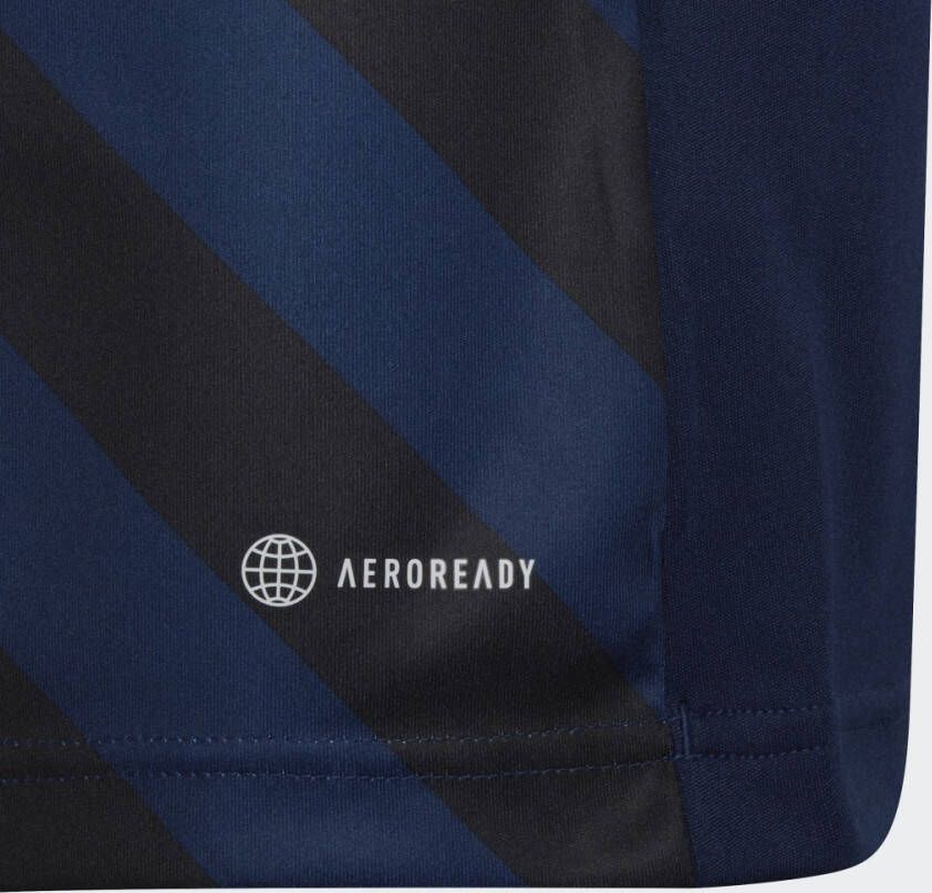 Adidas Performance Entrada 22 Graphic Voetbalshirt