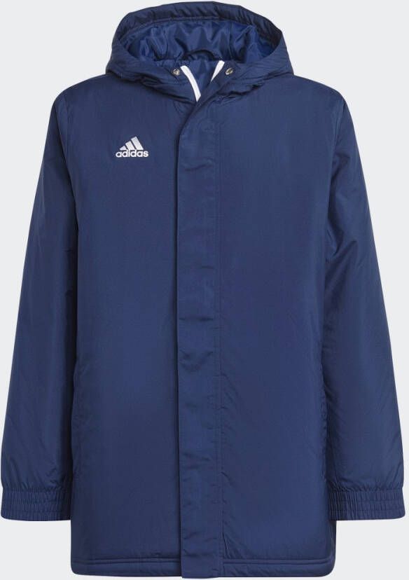 Adidas Performance Entrada 22 Stadium Jack