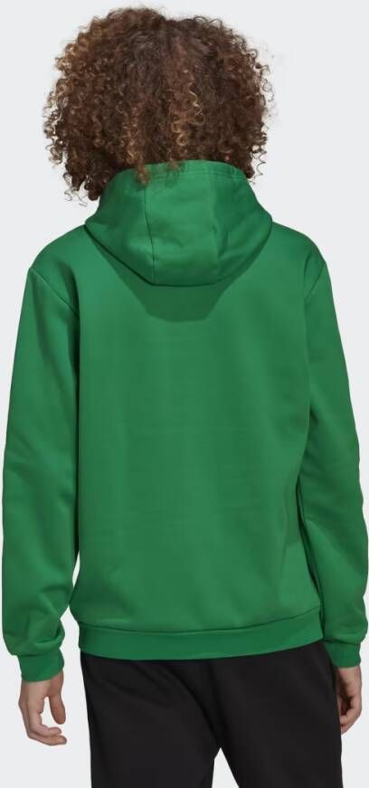 Adidas Performance Entrada 22 Sweat Hoodie