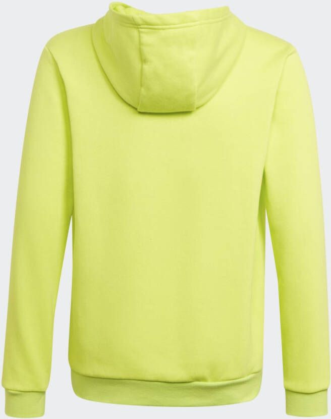 Adidas Performance Entrada 22 Sweat Hoodie