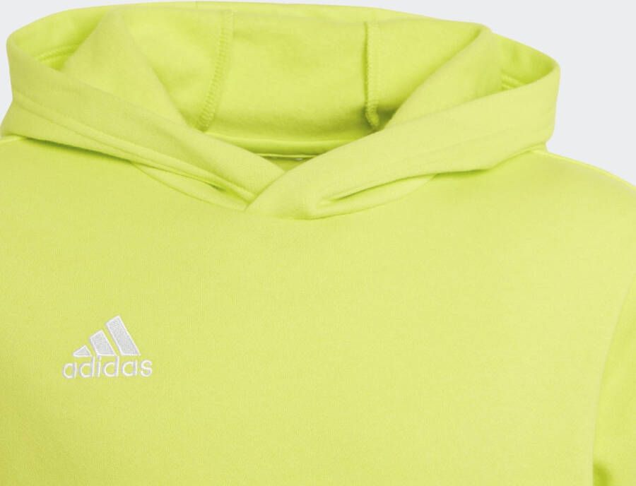 Adidas Performance Entrada 22 Sweat Hoodie