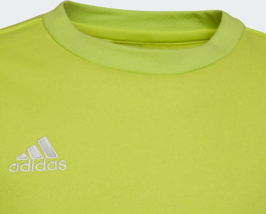 Adidas Performance Entrada 22 Sweatshirt