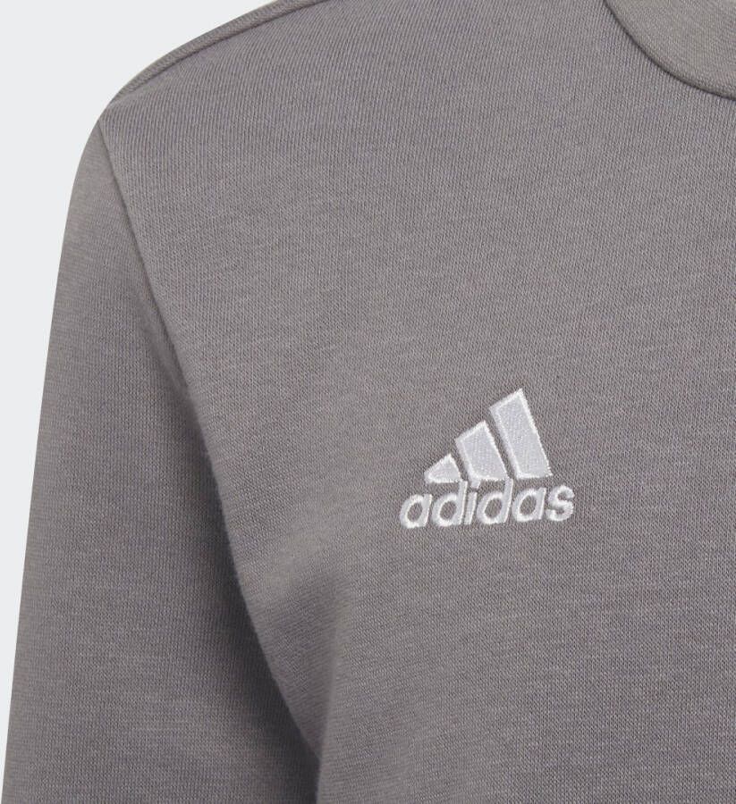 Adidas Performance Entrada 22 Sweatshirt