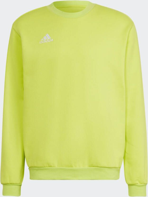 Adidas Performance Entrada 22 Sweatshirt