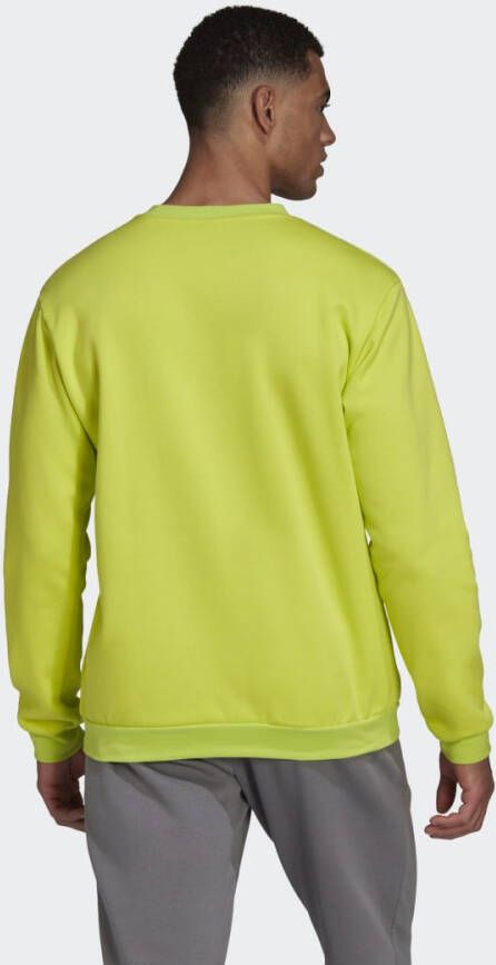 Adidas Performance Entrada 22 Sweatshirt