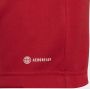 Adidas Performance Entrada 22 Trainingsshirt - Thumbnail 4