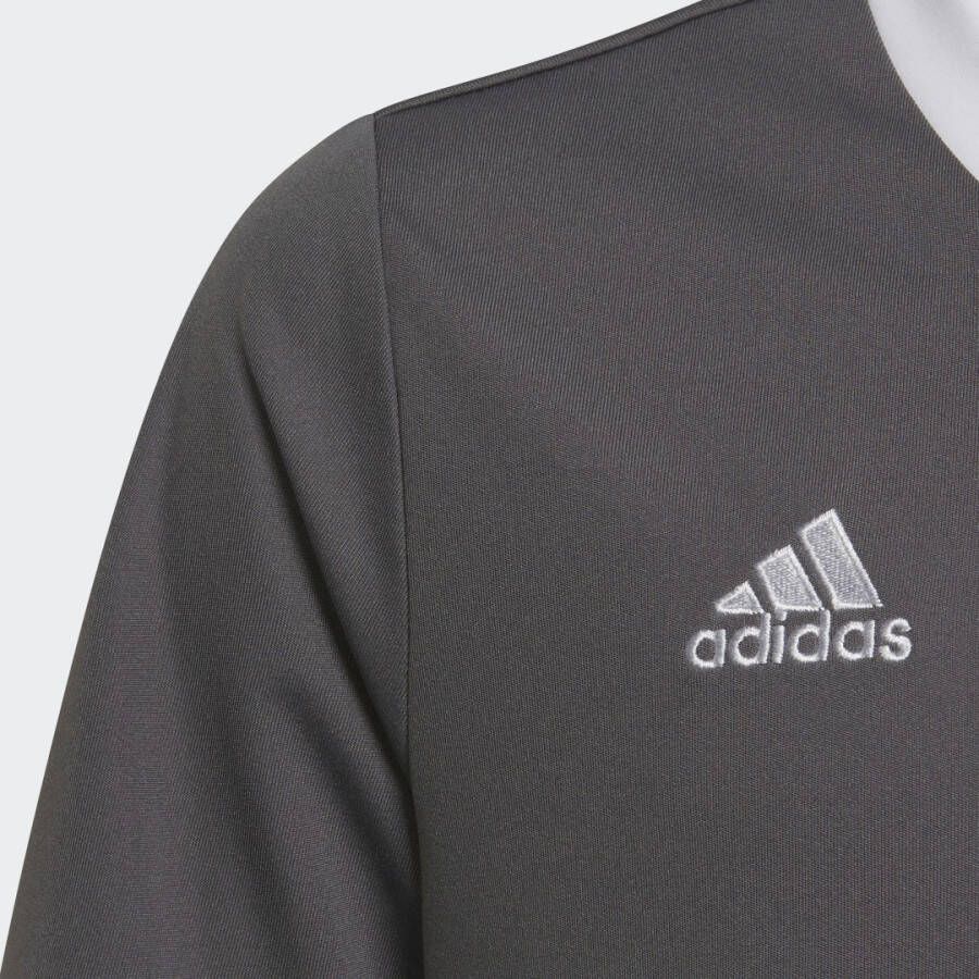 Adidas Performance Entrada 22 Voetbalshirt