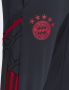 Adidas fc bayern münchen condivo 22 trainingsbroek 22 23 grijs heren - Thumbnail 6