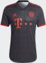 Adidas Performance FC Bayern München 22 23 Authentiek Derde Shirt - Thumbnail 5