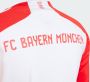 Adidas Perfor ce FC Bayern München 23 24 Thuisshirt met Lange Mouwen Kids - Thumbnail 5