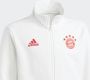 Adidas Perfor ce FC Bayern München Anthem Jack Junioren - Thumbnail 5