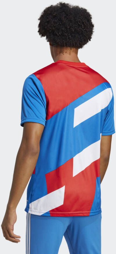 Adidas Performance FC Bayern München Pre-Match Voetbalshirt