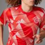 Adidas Performance FC Bayern München Pre-Match Voetbalshirt - Thumbnail 2
