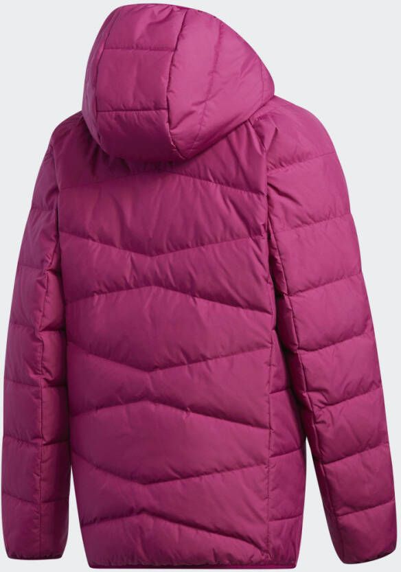 Adidas Performance Frosty Jack