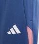 Adidas Perfor ce Olympique Lyonnais Tiro 23 Training Broek - Thumbnail 4