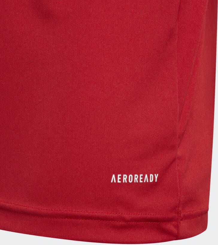 Adidas Performance Squadra 21 Poloshirt