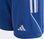 Adidas Performance Tiro 23 League Short - Thumbnail 3