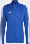 Adidas Performance Trainingsjack TIRO23 L TR JKT - Thumbnail 4