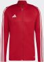 Adidas Performance Tiro 23 League Training Jack - Thumbnail 4