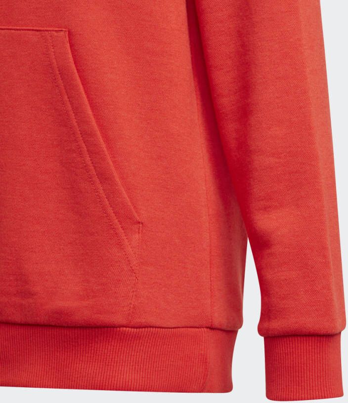 Adidas Sportswear adidas Essentials Hoodie