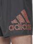 Adidas Performance zwemshort donkergrijs - Thumbnail 6