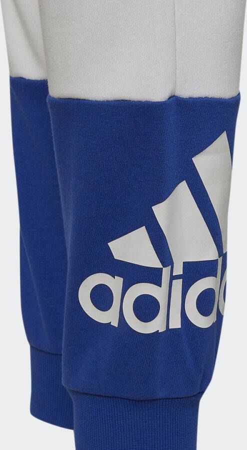 Adidas Sportswear Colorblock Broek
