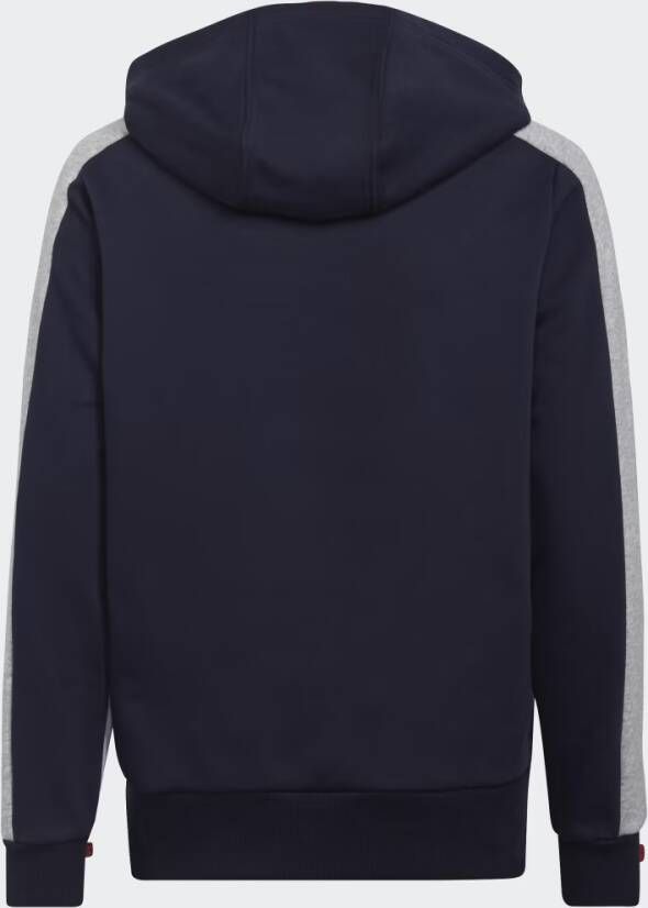 Adidas Sportswear Colorblock Fleece Hoodie