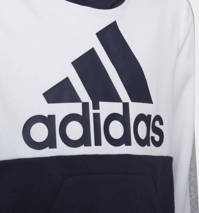 Adidas Sportswear Colorblock Fleece Hoodie