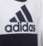 Adidas Performance Hoodie COLORBLOCK FLEECE HOODIE - Thumbnail 4