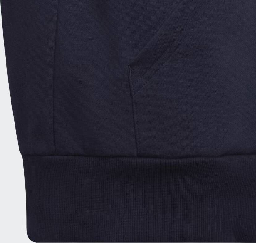 Adidas Sportswear Colorblock Fleece Hoodie