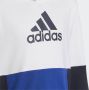 Adidas Sportswear Sweatshirt COLOURBLOCK HOODIE - Thumbnail 4