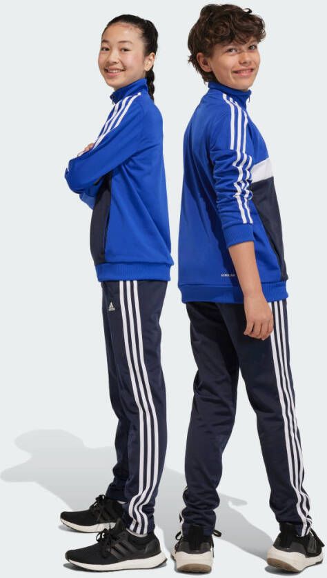 Adidas Sportswear Essentials 3-Stripes Tiberio Trainingspak