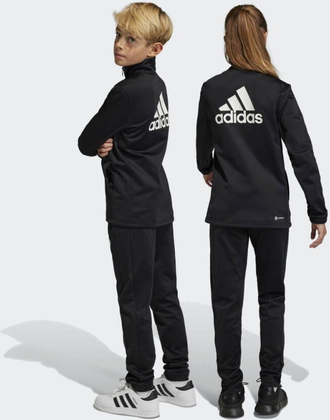 Adidas Sportswear Essentials Big Logo Trainingspak