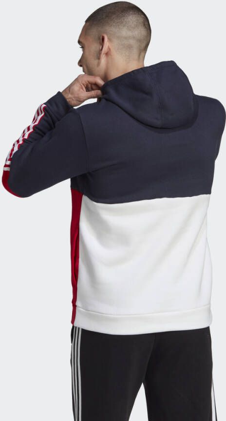 Adidas Sportswear Essentials Colorblock Fleece Hoodie
