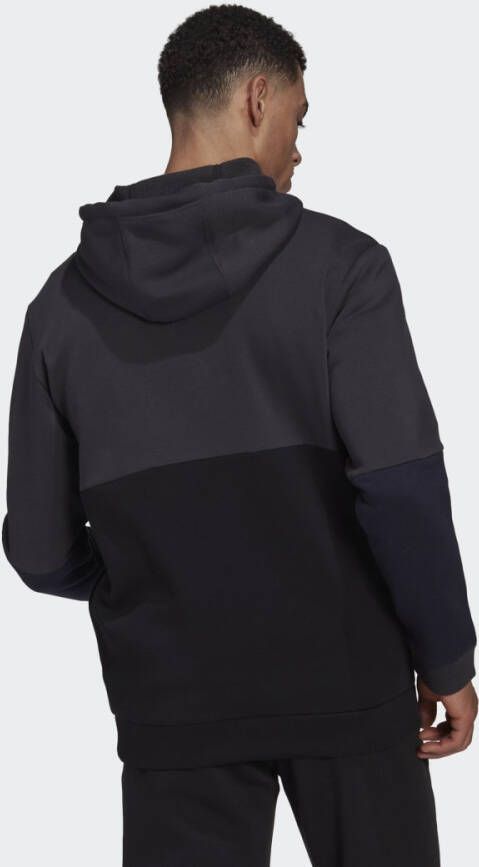 Adidas Sportswear Essentials Colorblock Fleece Ritshoodie