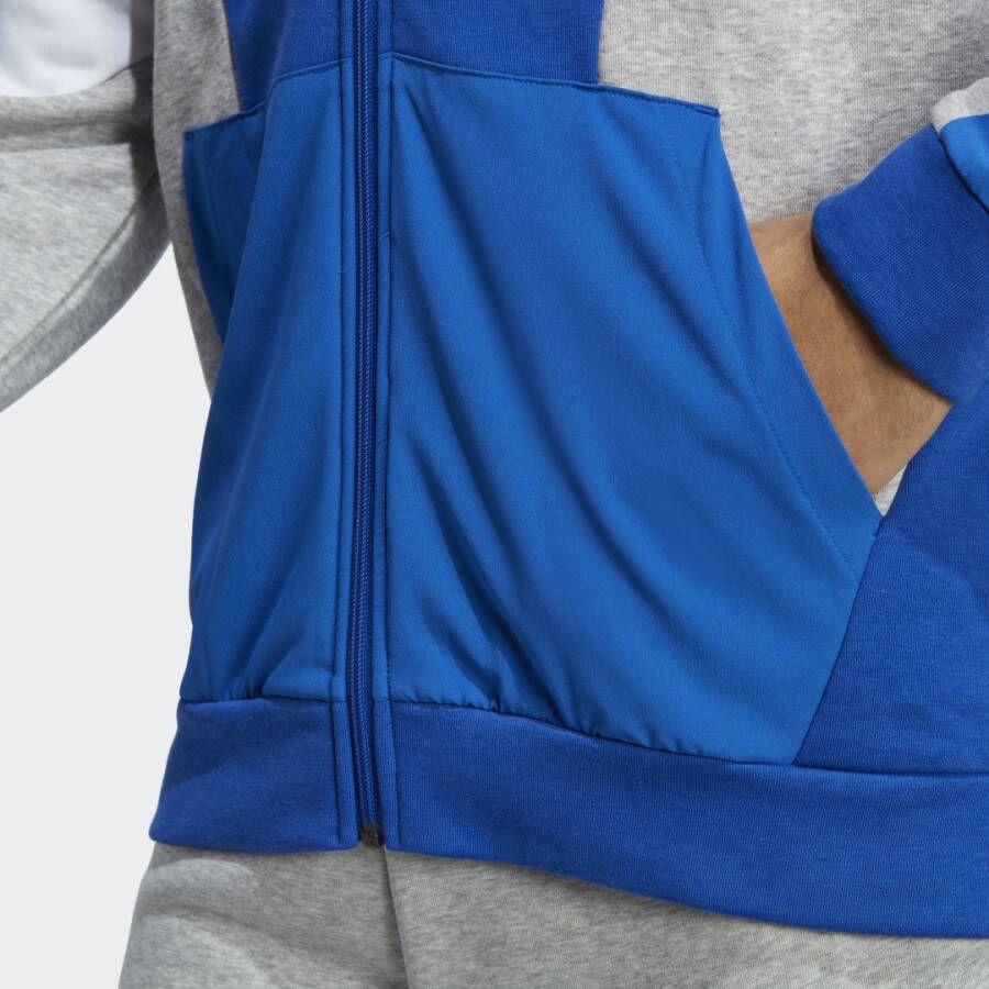 Adidas Sportswear Essentials Colorblock Ritshoodie