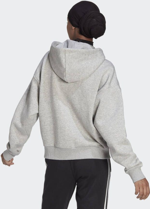 Adidas Sportswear Essentials Pinstripe Block Fleece Loose Fit Ritshoodie