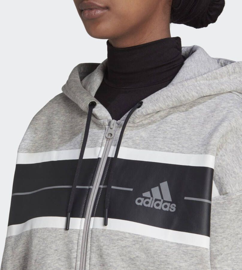 Adidas Sportswear Essentials Pinstripe Block Fleece Loose Fit Ritshoodie
