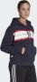 Adidas Sportswear Essentials Pinstripe Block Fleece Loose Fit Ritshoodie - Thumbnail 2