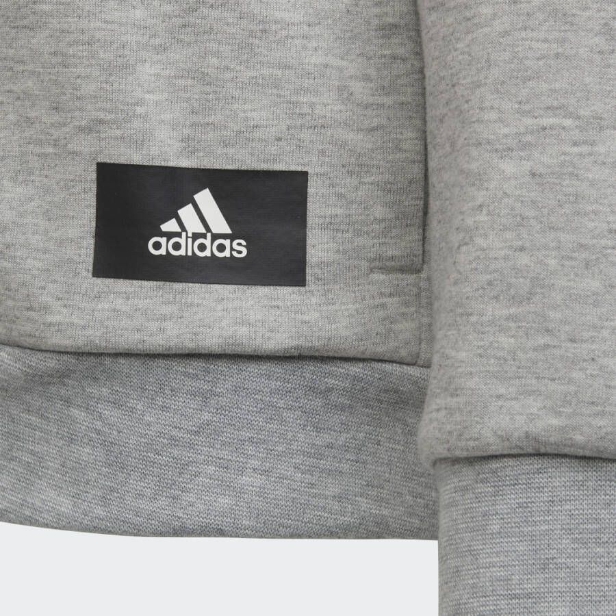 Adidas Sportswear Future Icons 3-Stripes Ritshoodie