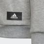 Adidas Sportswear Future Icons 3-Stripes Ritshoodie - Thumbnail 2