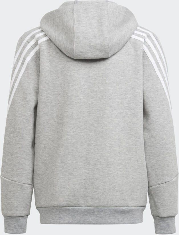 Adidas Sportswear Future Icons 3-Stripes Ritshoodie