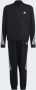 Adidas Sportswear Future Icons 3-Stripes Trainingspak - Thumbnail 4