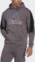 Adidas Sportswear Sweatshirt FUTURE ICONS EMBROIDERED BADGE OF sport fleece-hoody - Thumbnail 6