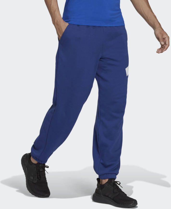 Adidas Sportswear Future Icons Logo Graphic Broek